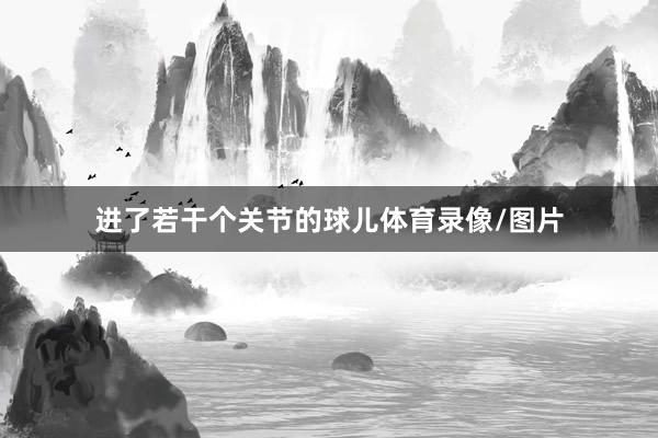 进了若干个关节的球儿体育录像/图片