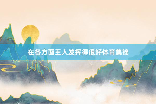 在各方面王人发挥得很好体育集锦