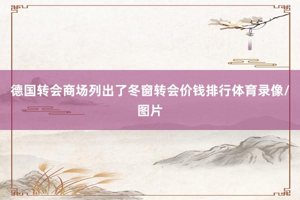 德国转会商场列出了冬窗转会价钱排行体育录像/图片