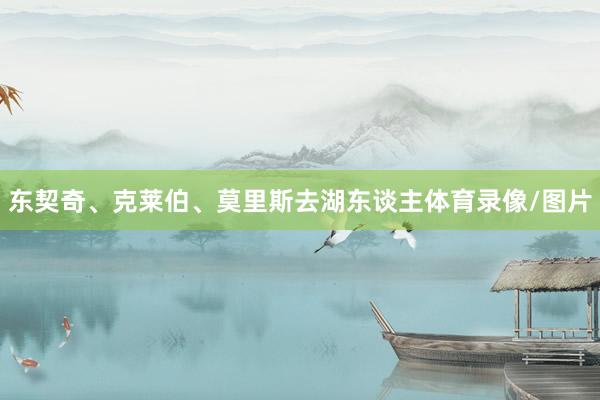 东契奇、克莱伯、莫里斯去湖东谈主体育录像/图片