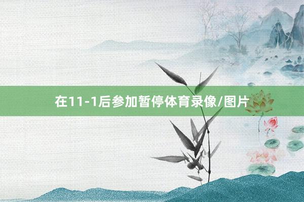 在11-1后参加暂停体育录像/图片