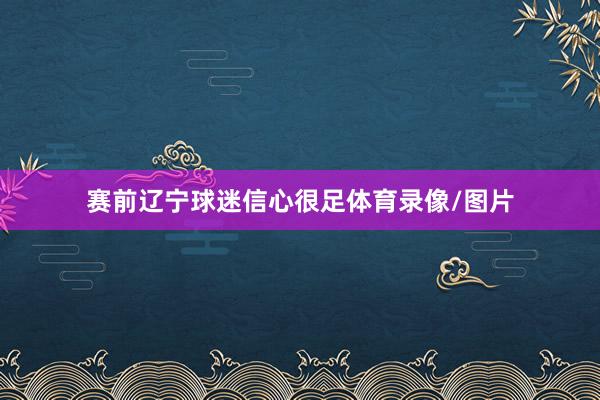 赛前辽宁球迷信心很足体育录像/图片