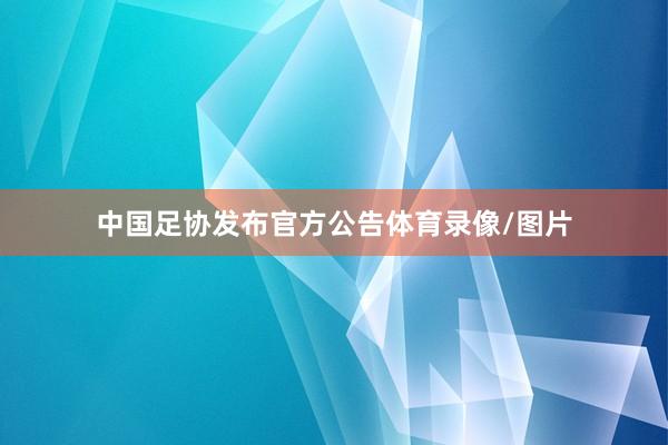 中国足协发布官方公告体育录像/图片