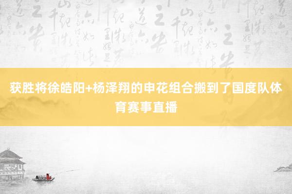 获胜将徐皓阳+杨泽翔的申花组合搬到了国度队体育赛事直播