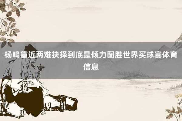 杨鸣靠近两难抉择到底是倾力图胜世界买球赛体育信息