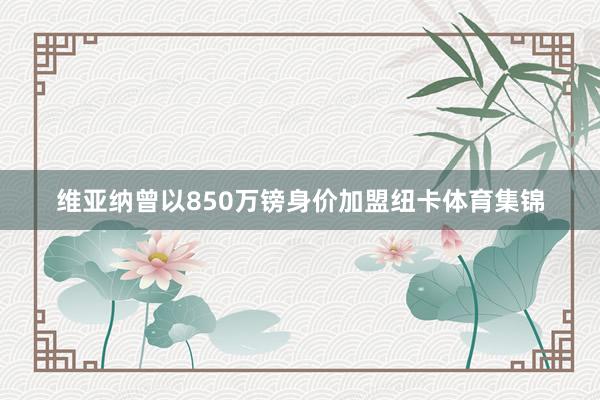 维亚纳曾以850万镑身价加盟纽卡体育集锦