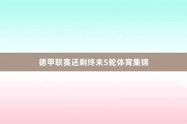 德甲联赛还剩终末5轮体育集锦