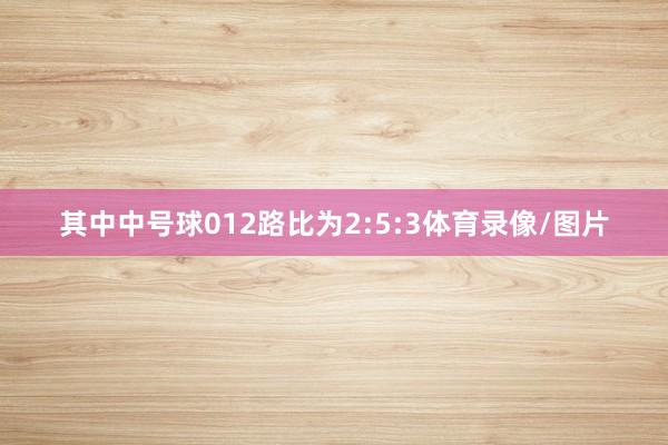 其中中号球012路比为2:5:3体育录像/图片