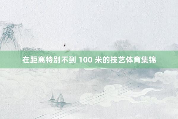 在距离特别不到 100 米的技艺体育集锦
