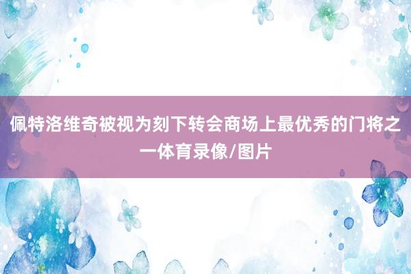佩特洛维奇被视为刻下转会商场上最优秀的门将之一体育录像/图片