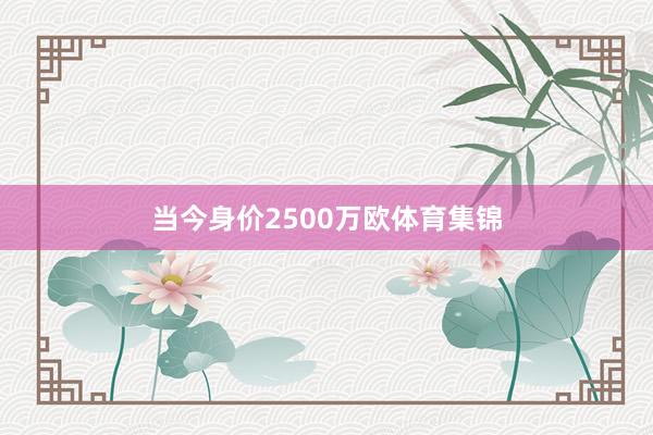 当今身价2500万欧体育集锦
