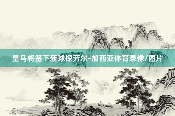 皇马将签下新球探劳尔-加西亚体育录像/图片