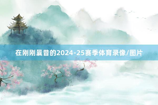 在刚刚曩昔的2024-25赛季体育录像/图片