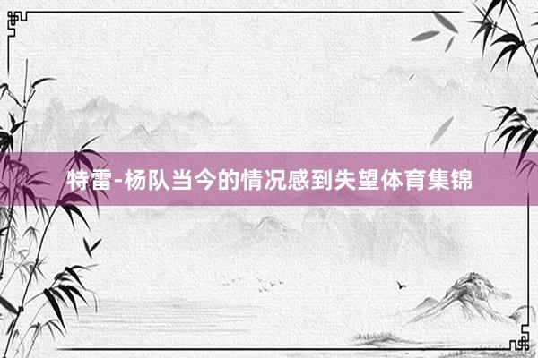 特雷-杨队当今的情况感到失望体育集锦
