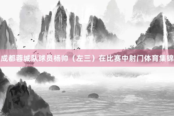 成都蓉城队球员杨帅（左三）在比赛中射门体育集锦