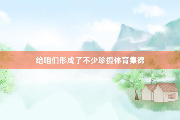 给咱们形成了不少珍摄体育集锦