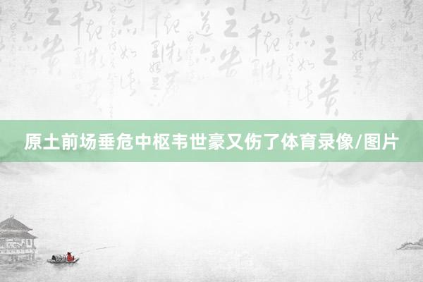 原土前场垂危中枢韦世豪又伤了体育录像/图片