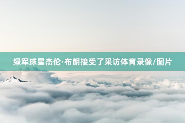 绿军球星杰伦·布朗接受了采访体育录像/图片