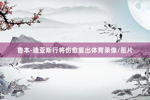 鲁本·迪亚斯行将伤愈复出体育录像/图片