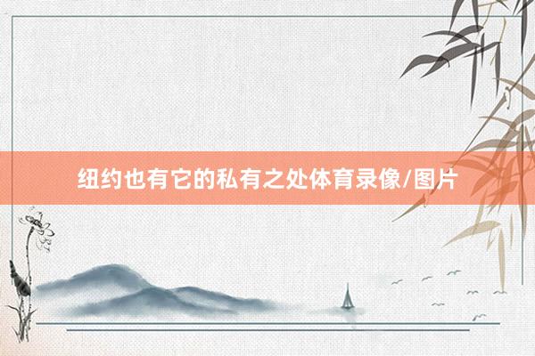纽约也有它的私有之处体育录像/图片