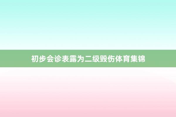 初步会诊表露为二级毁伤体育集锦
