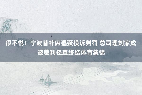 很不悦！宁波替补席猖獗投诉判罚 总司理刘家成被裁判径直终结体育集锦