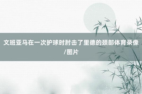 文班亚马在一次护球时肘击了里德的颈部体育录像/图片