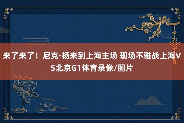 来了来了！尼克·杨来到上海主场 现场不雅战上海VS北京G1体育录像/图片