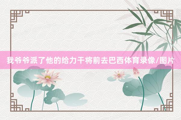 我爷爷派了他的给力干将前去巴西体育录像/图片